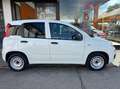 Fiat Panda Van 1.2 gpl Pop 69cv 2p.ti serie 3 E6d-temp Weiß - thumbnail 8