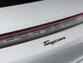 Porsche Taycan Taycan Grigio - thumbnail 14
