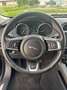 Jaguar F-Pace R-SPORT CATENA FATTA + OLIO CAMBIO AUTOM. Nero - thumbnail 14