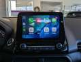 Ford EcoSport Titanium Navi-AppLink Komfort-Paket AHK Rot - thumbnail 25