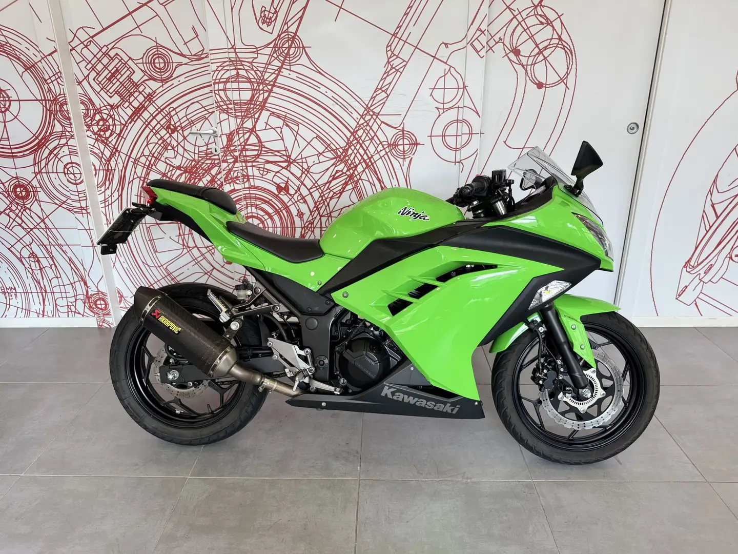 Kawasaki Ninja 300 NINJA 300 - YM 2015 - 1