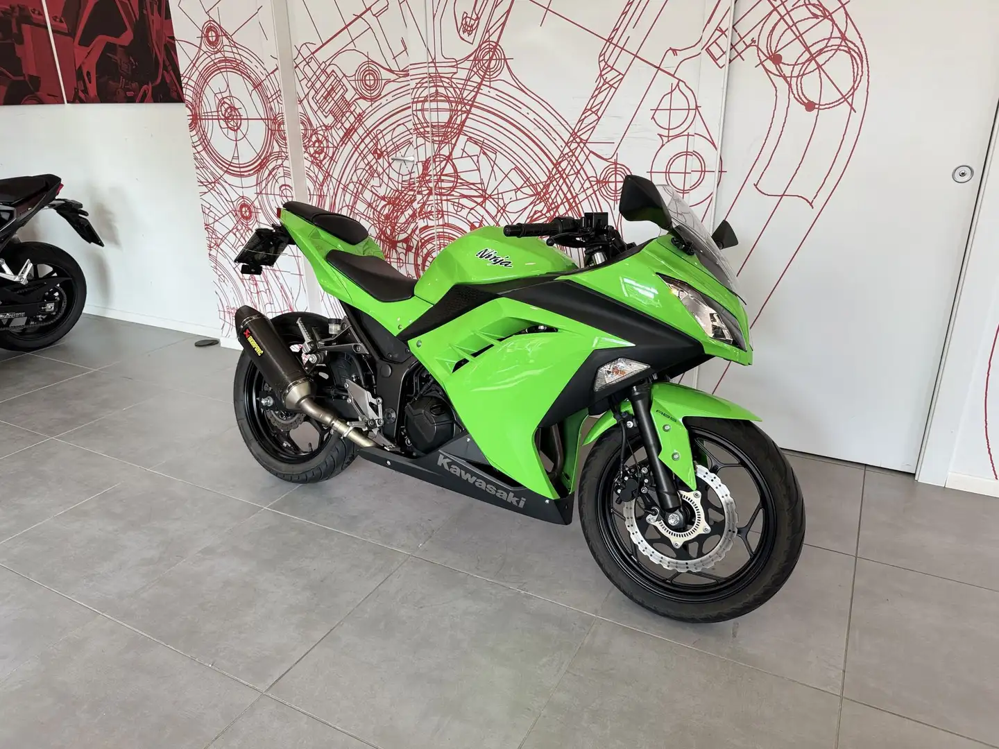 Kawasaki Ninja 300 NINJA 300 - YM 2015 - 2