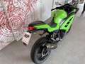 Kawasaki Ninja 300 NINJA 300 - YM 2015 - thumbnail 12