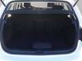 Volkswagen Golf 5p 1.5 tgi executive 130cv dsg Blanc - thumbnail 8