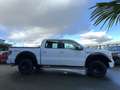 Ford F 150 KING RANCH XLT E85 TVA 2011 - thumbnail 6
