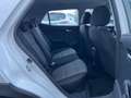 Kia Stonic Edition 7 1.4*CARPLAY*MFL*KLIMA*GARANTIE* Weiß - thumbnail 17