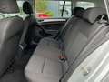 Volkswagen Golf VII Variant DSG BMT SITZHEIZUNG 1-HAND Silber - thumbnail 10