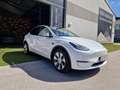 Tesla Model Y Long Range Dual AWD 79kWh: geprüft und neu aufbereitet Weiß - thumbnail 1
