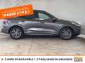 Ford Kuga 2.5 phev st-line x 2wd 225cv cvt Grigio - thumbnail 5