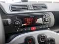 Fiat Panda Hybrid City Cross | Clima | Dakrails | Mistlampen Zwart - thumbnail 14