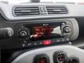 Fiat Panda Hybrid City Cross | Clima | Dakrails | Mistlampen Zwart - thumbnail 15