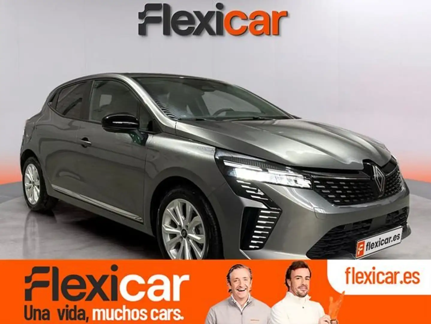 Renault Clio dCi Evolution 74kW Gris - 1