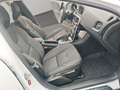 Volvo V40 Cross Country V40 CrossCountry T4 AWD You! 18"/StylePaket TOP! Blanco - thumbnail 19