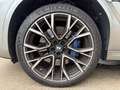 BMW X6 M Competition*Assist Plus*AHK*Carbon*Laser Grau - thumbnail 9