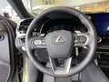 Lexus RX 450h RX 450 h+ E-FOUR Executive Line *Technolo+Panora* Grigio - thumbnail 9