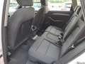 Audi Q5 2.0 TDI 177CV QUATTRO - CAMBIO MANUALE Blanc - thumbnail 10