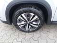 Skoda Kodiaq 2.0 TDI DSG Selection Silber - thumbnail 18