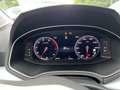 SEAT Ibiza Road Edition 1.0 TSI DSG PDC, RVC, Kessy Šedá - thumbnail 9