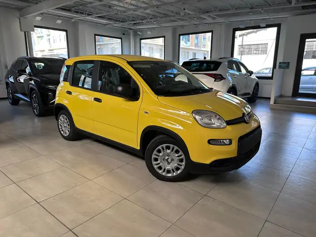 Fiat Pandina