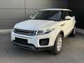 Land Rover Range Rover Evoque 2.0TD4 SE 4WD Aut. 150 Blanco - thumbnail 8