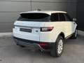 Land Rover Range Rover Evoque 2.0TD4 SE 4WD Aut. 150 Blanco - thumbnail 2