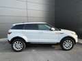 Land Rover Range Rover Evoque 2.0TD4 SE 4WD Aut. 150 Blanco - thumbnail 6