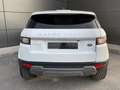 Land Rover Range Rover Evoque 2.0TD4 SE 4WD Aut. 150 Blanco - thumbnail 7