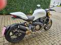 Ducati Monster 1200 1200s Alb - thumbnail 8