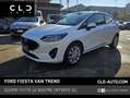 Ford Fiesta 1.0 EcoBoost Hybrid 125 CV 3 porte Van Trend Bianco - thumbnail 1