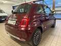 Fiat 500 500 III 2015 1.2 Lounge easypower Gpl 69cv Mauve - thumbnail 4