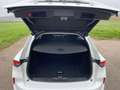 Opel Astra L Sports Tourer Business Elegance Weiß - thumbnail 19