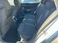 Skoda Octavia Octavia IV 2024 Wagon 2.0 tdi Selection 150cv dsg Grigio - thumbnail 16