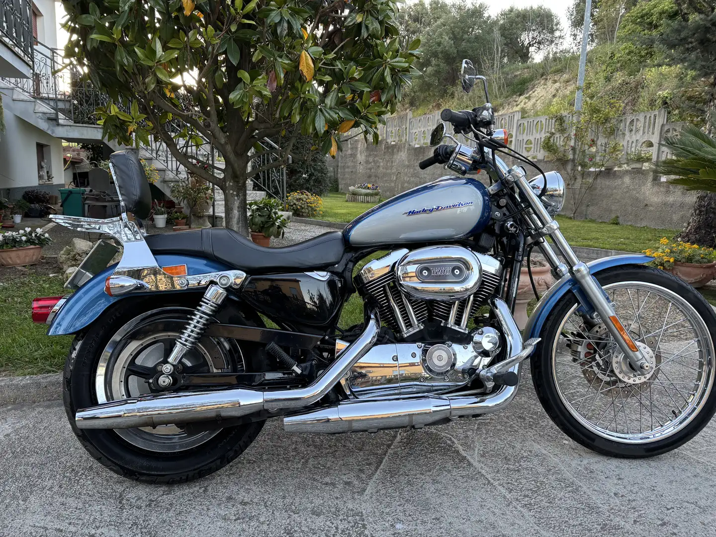 Harley-Davidson Sportster 1200 harley davidson sportster 1200 a carburatore - 2