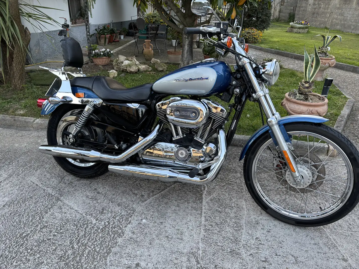 Harley-Davidson Sportster 1200 harley davidson sportster 1200 a carburatore - 1