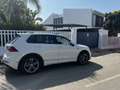 Volkswagen Tiguan Tiguan 1.5 TSI Advance 110kW Advance Blanco - thumbnail 8