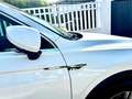 Volkswagen Tiguan Tiguan 1.5 TSI Advance 110kW Advance Blanco - thumbnail 6