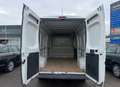 Fiat Ducato Grossr.-Kasten 33 100  L4*HU/AU NEU* Weiß - thumbnail 13