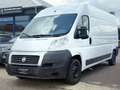 Fiat Ducato Grossr.-Kasten 33 100  L4*HU/AU NEU* Weiß - thumbnail 1