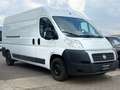 Fiat Ducato Grossr.-Kasten 33 100  L4*HU/AU NEU* Weiß - thumbnail 3