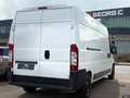 Fiat Ducato Grossr.-Kasten 33 100  L4*HU/AU NEU* Weiß - thumbnail 6