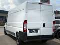 Fiat Ducato Grossr.-Kasten 33 100  L4*HU/AU NEU* Weiß - thumbnail 5
