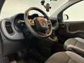 Fiat Panda NEW PANDA 1.0 HYBRID 70CV PARI AL NUOVO P.CONSEGNA Gris - thumbnail 11