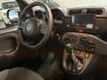 Fiat Panda NEW PANDA 1.0 HYBRID 70CV PARI AL NUOVO P.CONSEGNA Gris - thumbnail 16