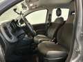 Fiat Panda NEW PANDA 1.0 HYBRID 70CV PARI AL NUOVO P.CONSEGNA Gris - thumbnail 12