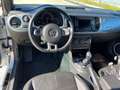 Volkswagen Maggiolino Cabrio 2.0 tdi Sport 140cv dsg Blanc - thumbnail 7