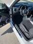 Volkswagen Maggiolino Cabrio 2.0 tdi Sport 140cv dsg Blanc - thumbnail 8