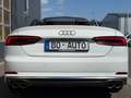 Audi S5 Cabriolet *DEUTSCH* Virtual Carbon ACC Keyless MMI Weiß - thumbnail 9