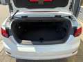 Audi S5 Cabriolet *DEUTSCH* Virtual Carbon ACC Keyless MMI Weiß - thumbnail 10