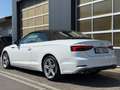 Audi S5 Cabriolet *DEUTSCH* Virtual Carbon ACC Keyless MMI Weiß - thumbnail 2
