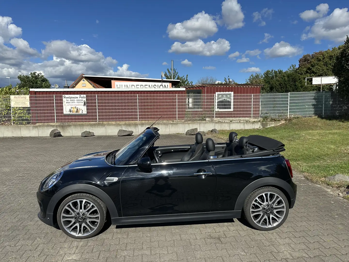 MINI Cooper Cabrio Aut./ keyless/ camera / Leder - 2
